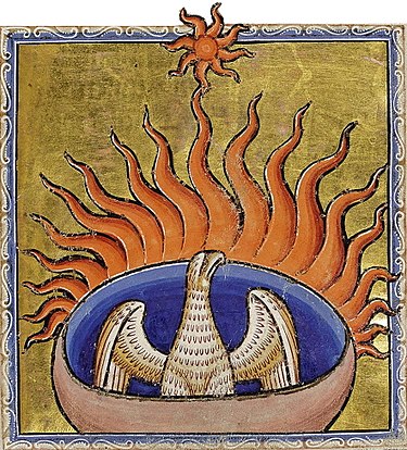 375Px Phoenix Detail From Aberdeen Bestiary